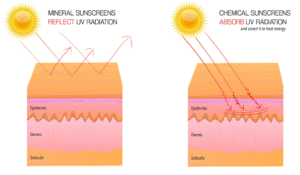 Mineral Vs Chemical Sunscreen