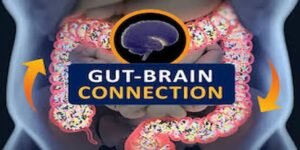 Gut Brain Connection