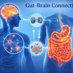 Gut-brain-connection