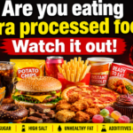 ultraprocessed food TN