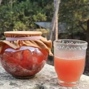 Kanji: Indian Fermented Drink