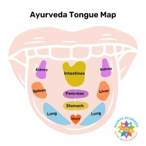 tongue map