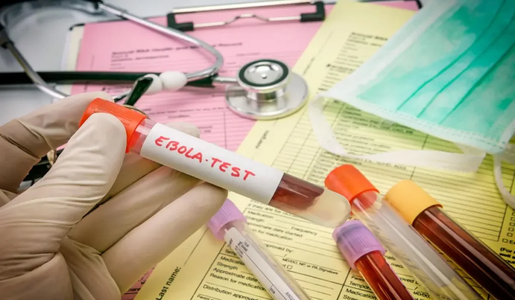 Ebola-Virus-Infection